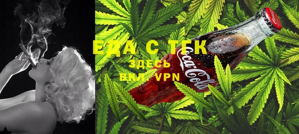 индика Гусиноозёрск