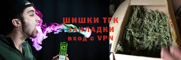 индика Гусиноозёрск