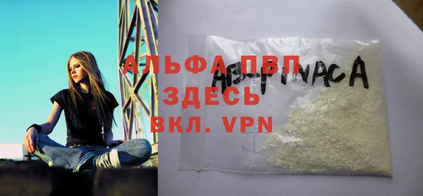 индика Гусиноозёрск