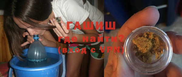 индика Гусиноозёрск