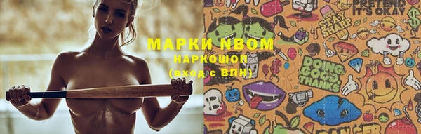 индика Гусиноозёрск