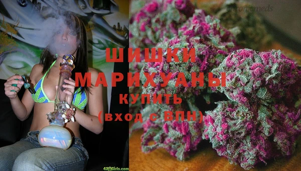 прущая мука Гусев