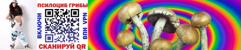 Галлюциногенные грибы ЛСД  закладки  Окуловка 